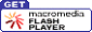 Flash Player