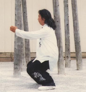 Kungfu and Pencak Silat 3 Horse Stance Training The 