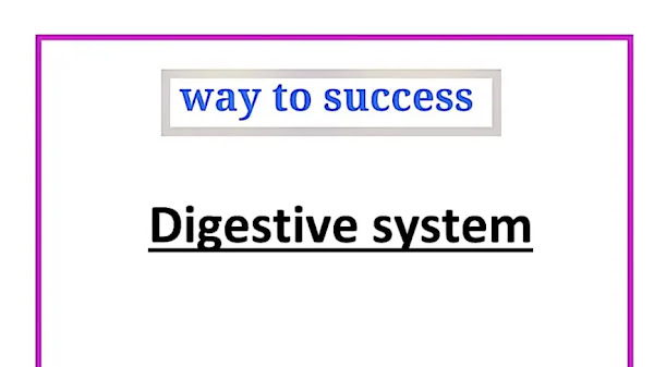 Digestive system PPT | PDF