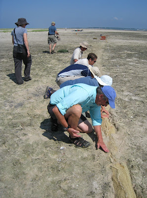 Disguising net in the sand.