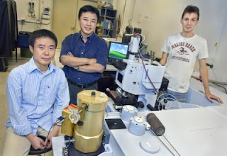 Xiang Zhang, Yongmin Liu and Thomas Zentgraf