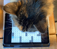 A cat peering at an iPad. A crossword grid is displayed on the iPad.