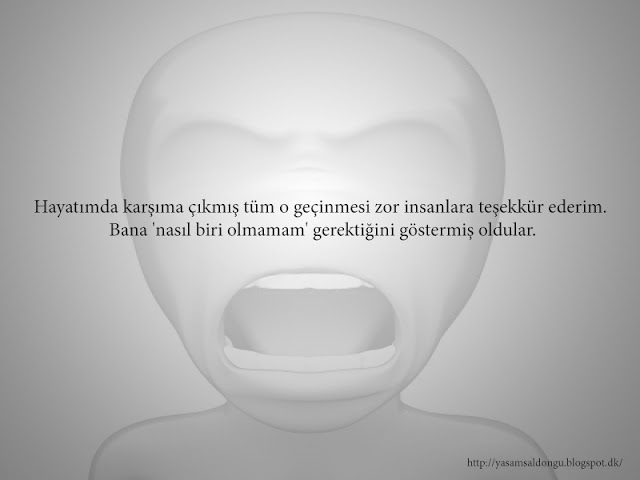 Hayatımda karşıma çıkmış tüm o geçinmesi zor insanlara teşekkür ederim. Bana 'nasıl biri olmamam' gerektiğini göstermiş oldular.