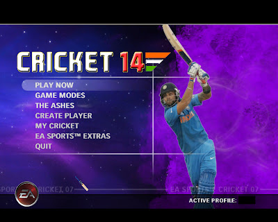 Cricket 14 Menu for EA Cricket 07