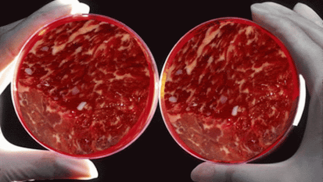Άρχισε το «προμοτάρισμα» του τεχνητού κρέατος στην Ελλάδα: «Είναι νοστιμότατο και απαραίτητο γιατί είμαστε 8 δισ. στον πλανήτη»