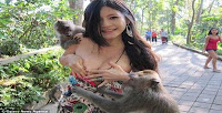 Monyet di Ubud Bikin Gadis Ini Jadi Terkenal