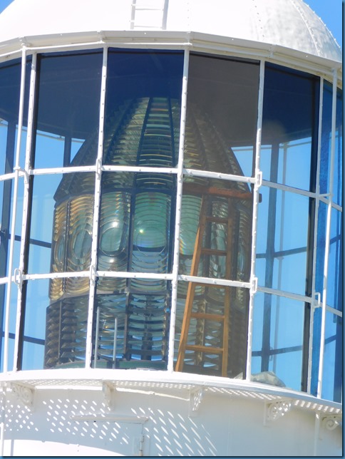 DSCN0951