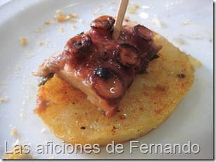 IMG_1385_201212