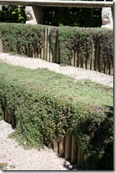 bloggebilder 060