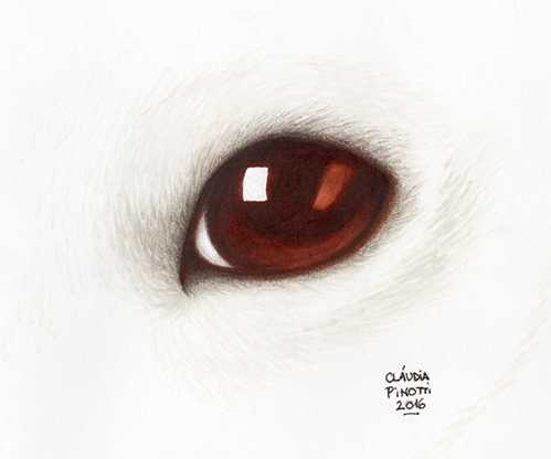 claudia_pinotti_olhos_006
