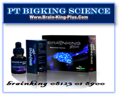 http://www.brain-king-plus.com/