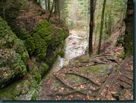 DSCN0574