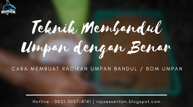 https://rajaessentsm.blogspot.com/2019/05/teknik-membandul-umpan-dengan-benar.html