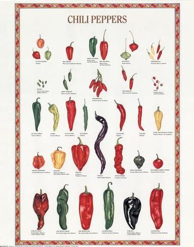 Sell a list of Thai chili,