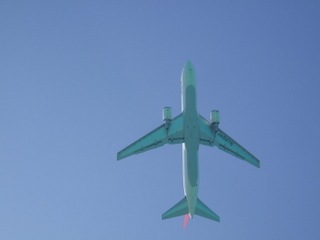 DSCF0403