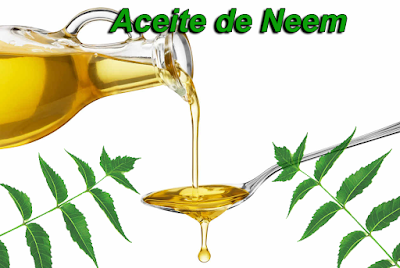 aceite de neem