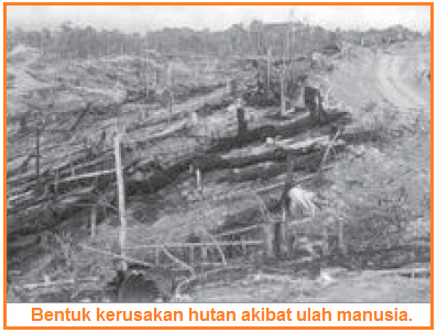 Kerusakan hutan