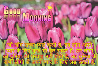 good morning shayri (प्यार भरी गुड मॉर्निंग शायरी इन लव)