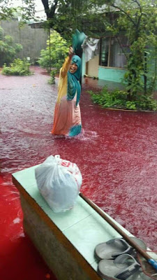 Banjir Merah Pekalongan, Ketua RW: Akibat Pewarna Batik