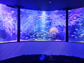 SEaLife Manchester huge circular fish tank aquarium