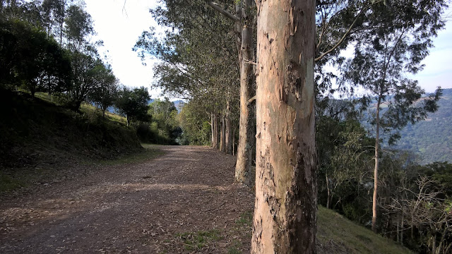 Caminho para a Gruta de Nossa Senhora de Lourdes