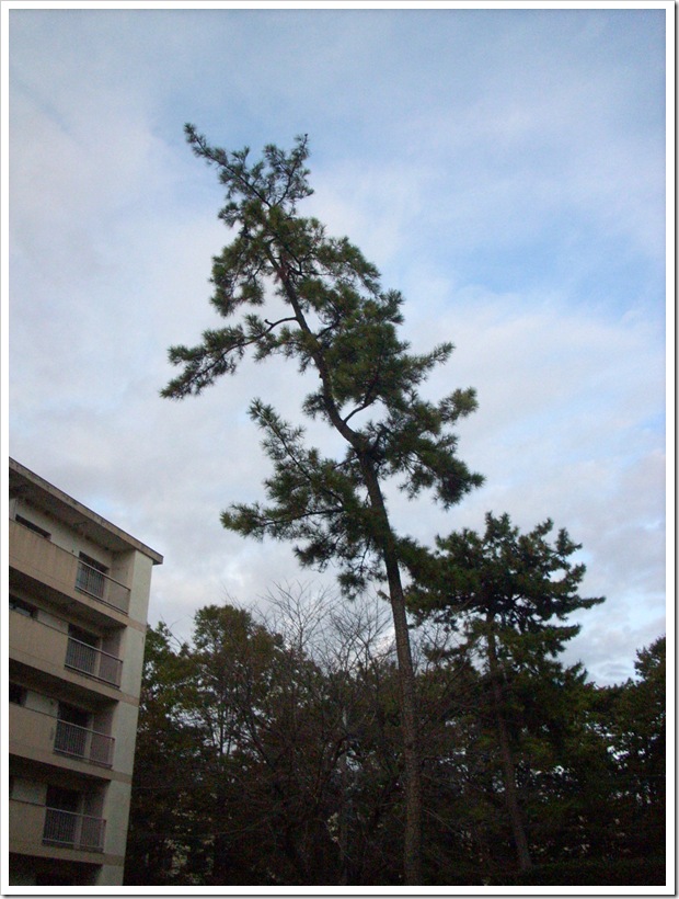 20111112_160410