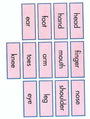 circulatory system diagram kids. circulatory system diagram for