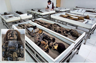 Chinchorro mummies in Chile have been inscribed on the World Heritage List