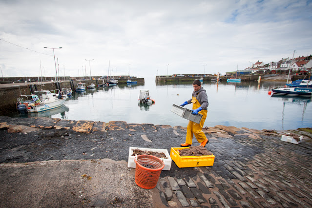 St Monans-Porto