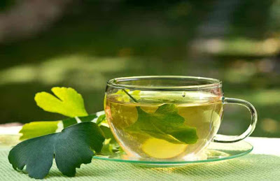 Té de Ginkgo Biloba