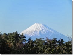 DSCN2440