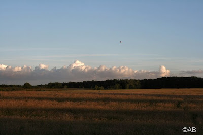 de zon zakt