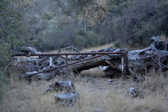 third gate along the way