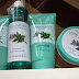 ORIFLAME TEA TREE & ROSEMARY PURIFYING FACIAL KIT REVIEW