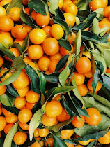 benefits-of-eating-oranges-everyday