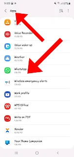 Open app info in phone