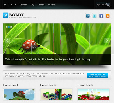 boldy wordpress theme