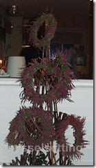 DSCF6047