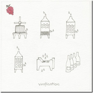 70 vinification