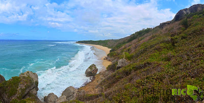 Survival Beach Aguadilla