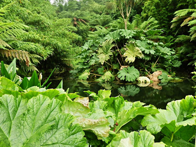 Jungle at Lost Gardens of Helugan