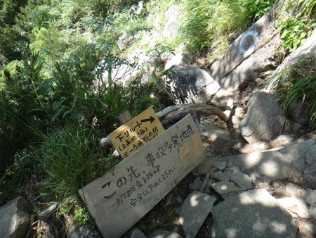 225-DSC07332