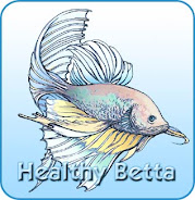 Healthy Betta