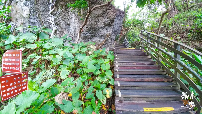 小琉球山豬溝生態步道-彷如阿凡達中身處潘朵拉星上的納美人禁地