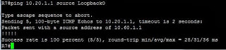ping from loopback source