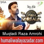 https://www.humaliwalyazadar.com/2018/09/muqtadi-raza-amrohi-nohay-2019.html