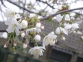 PICT0791