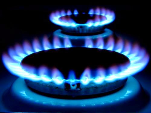 Scientists Create Fossil Fuels With Bacteria