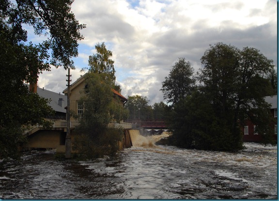 syksy kuvia  valokuvaaja 038
