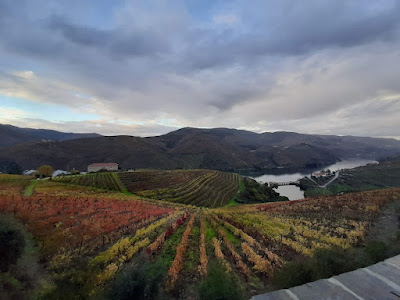 vinhedos com cores de outono e rio Douro ao fundo